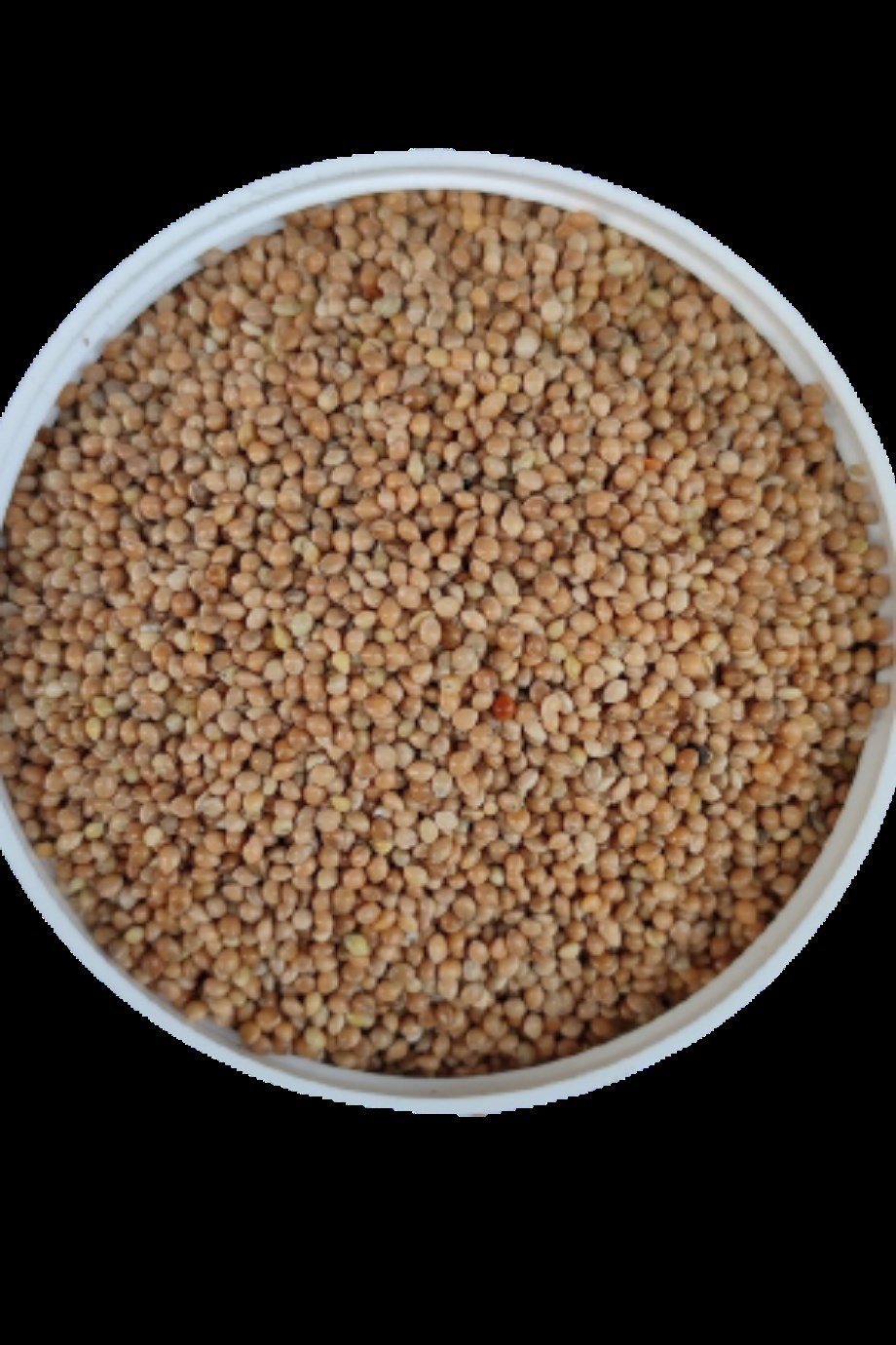 Sade Muhabbet Kuşu Yemi (Sarı Darı) 5Kg