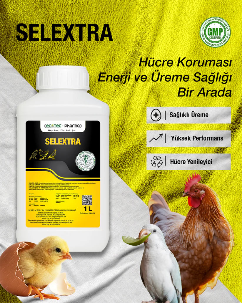 Selextra Vitamin D3 E B12 Selenyum 1 L | Kanatlılarda Üreme ve Performans Desteği