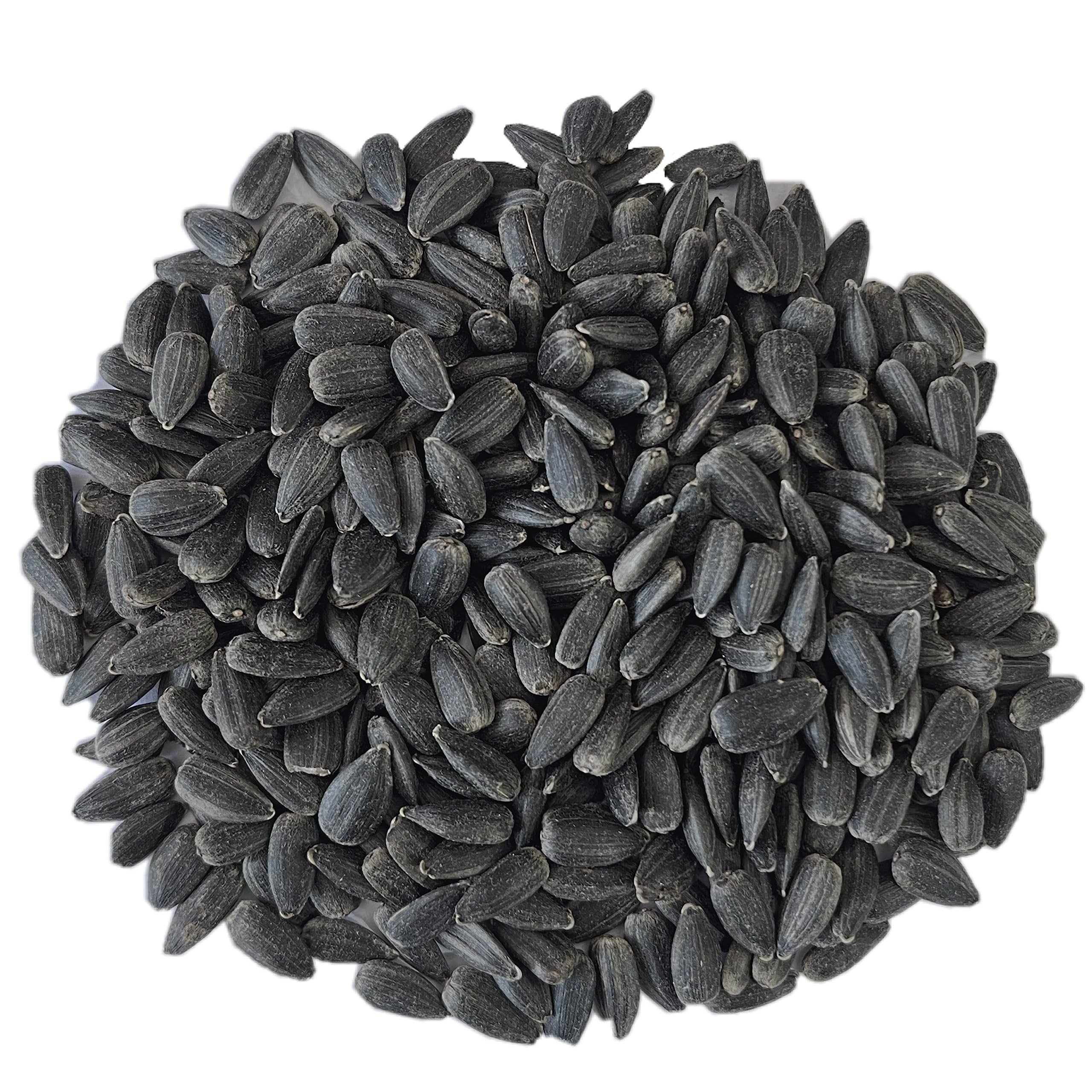 Siyah Minik Çekirdek Premium 10 Kg – Kuş Yemi