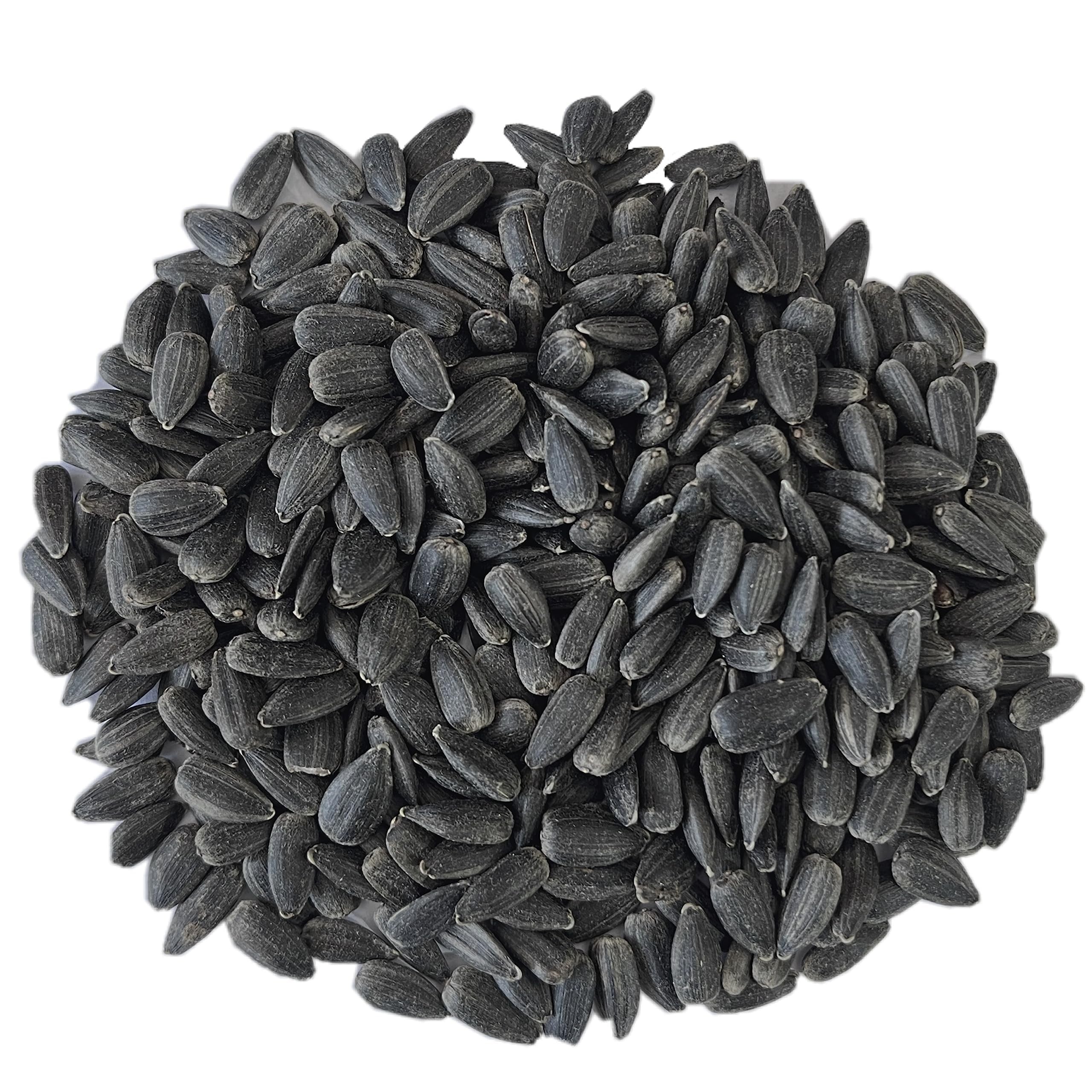 Siyah Minik Çekirdek Premium 10 Kg – Kuş Yemi