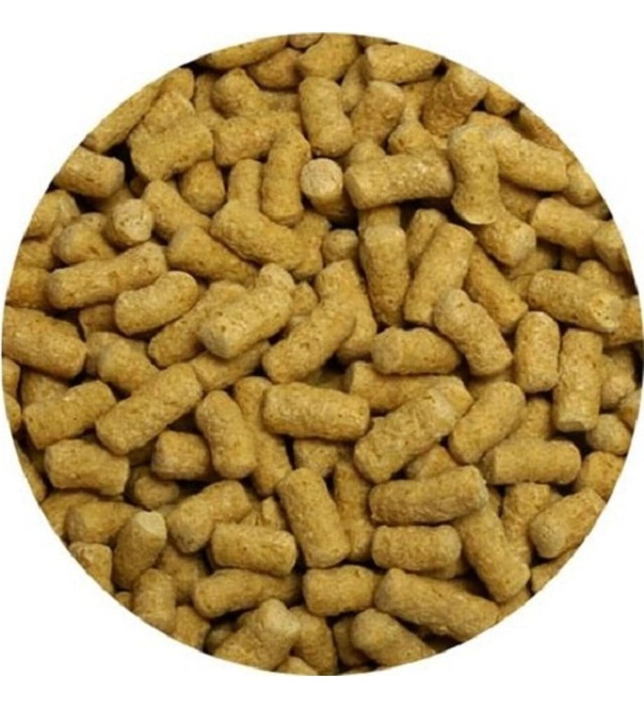Tropical Koi GoldFish Naturel Pond Balık Yemi 50 gr
