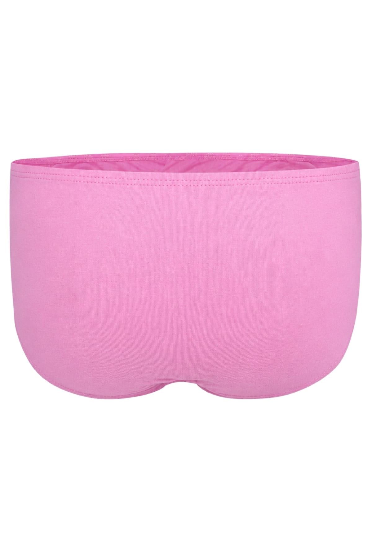 DarkzoneDZ-1104-11-SErkek Pembe Pamuklu Klasik Slip Külot