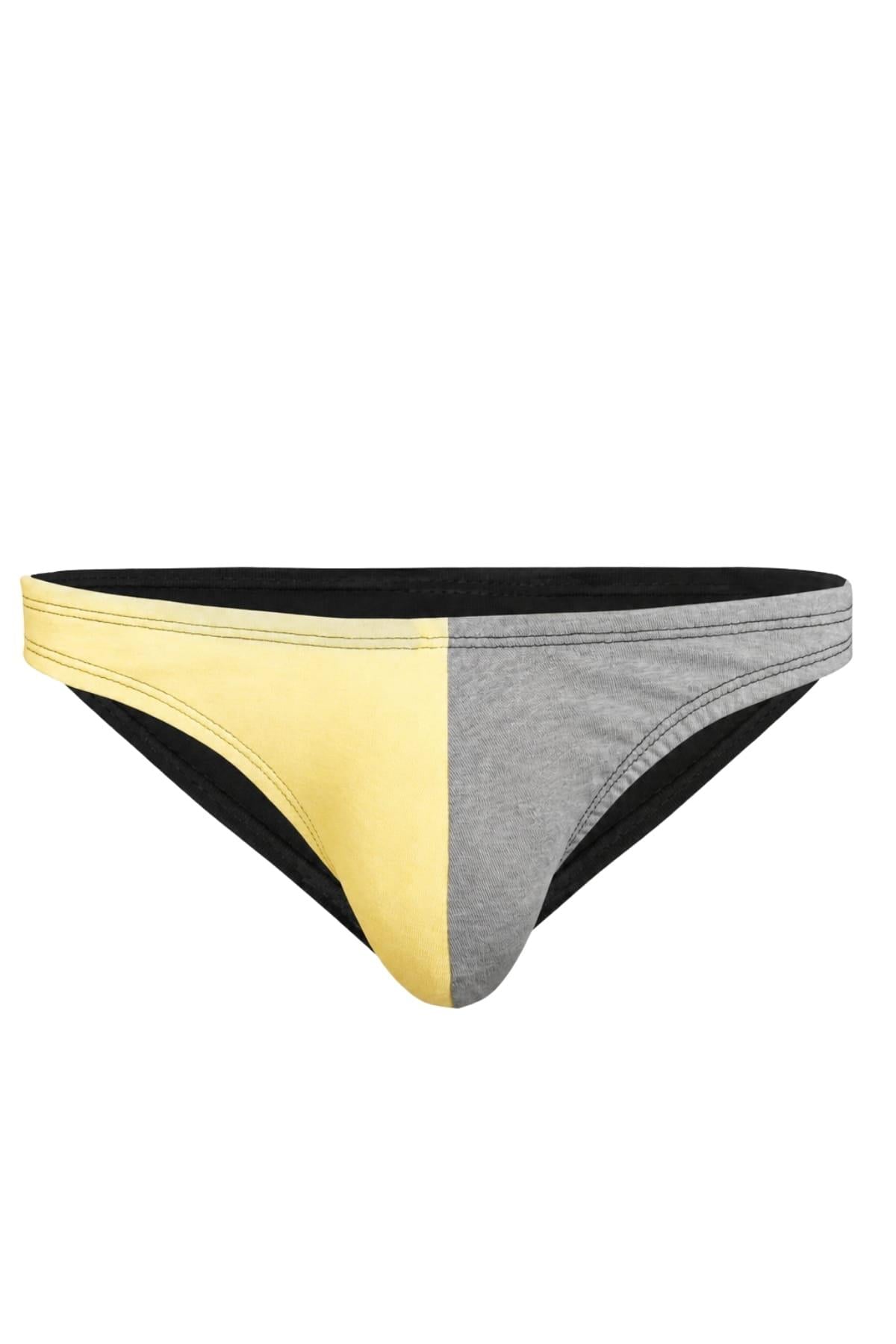 DarkzoneDZ-1104-132-SErkek Sarı Gri Pamuklu Klasik Slip Külot