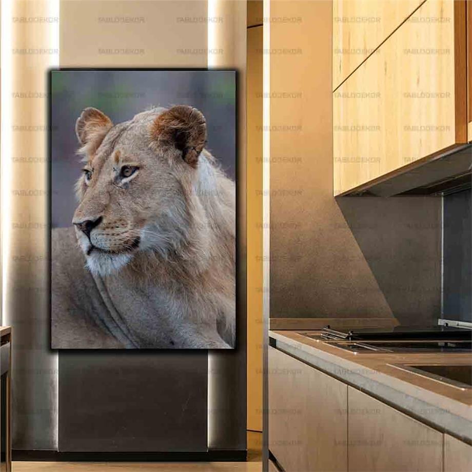 ASLAN KANVAS TABLO ürününe, KANVAS TABLOLAR kategorisinden hemen satın alabilirsiniz.