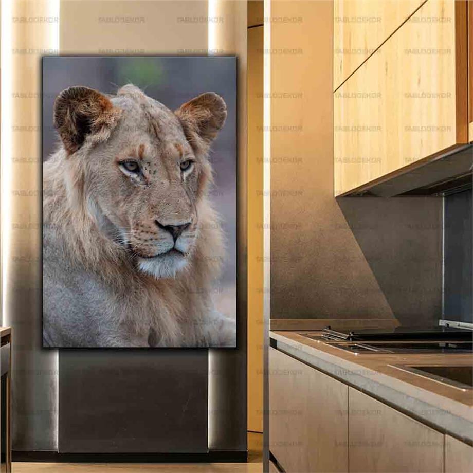 ASLAN KANVAS TABLO ürününe, KANVAS TABLOLAR kategorisinden hemen satın alabilirsiniz.