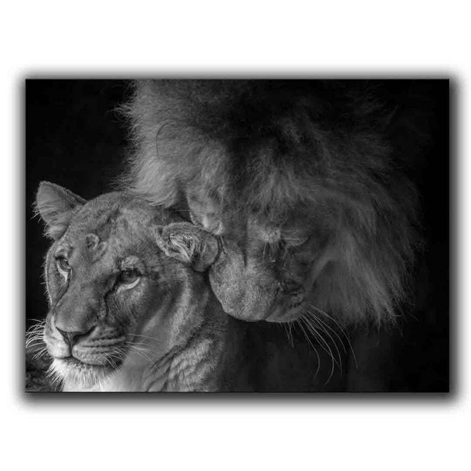 ASLAN KANVAS TABLO ürününe, KANVAS TABLOLAR kategorisinden hemen satın alabilirsiniz.