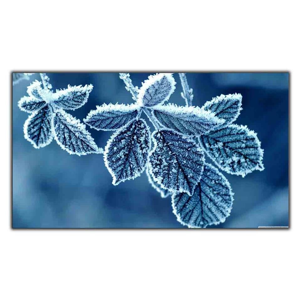 BUZ TUTMUŞ YAPRAKLAR KANVAS TABLO ürününe, KANVAS TABLOLAR kategorisinden hemen satın alabilirsiniz.