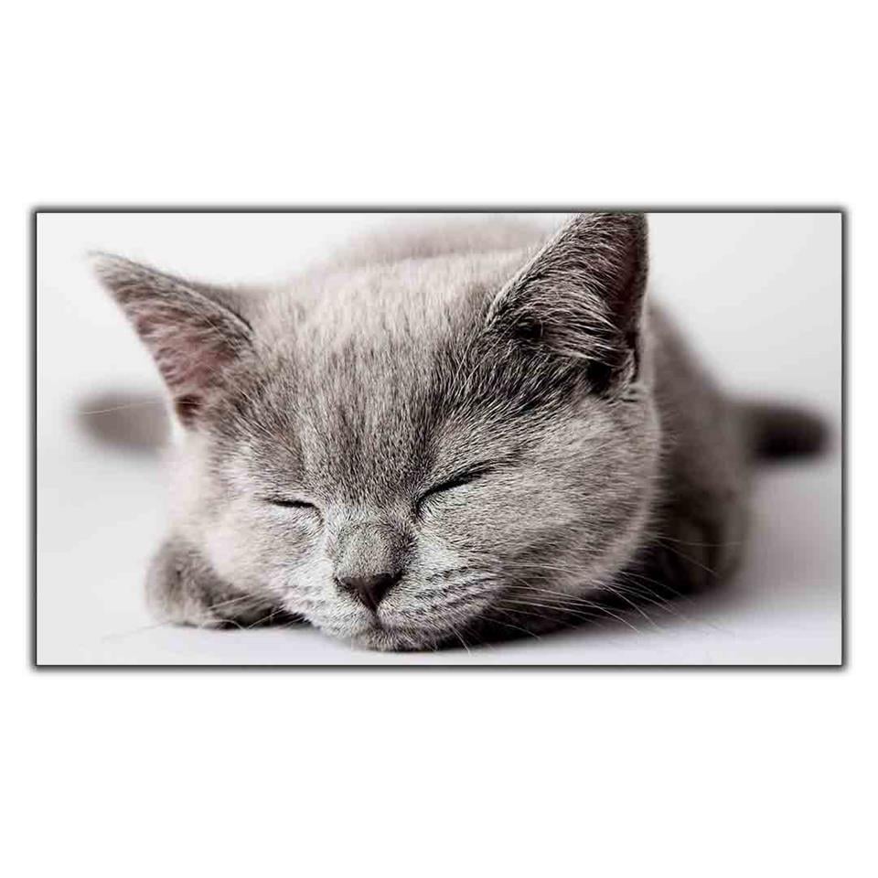 GRİ TÜYLÜ UYUYAN KEDİ KANVAS TABLO ürününe, KANVAS TABLOLAR kategorisinden hemen satın alabilirsiniz.