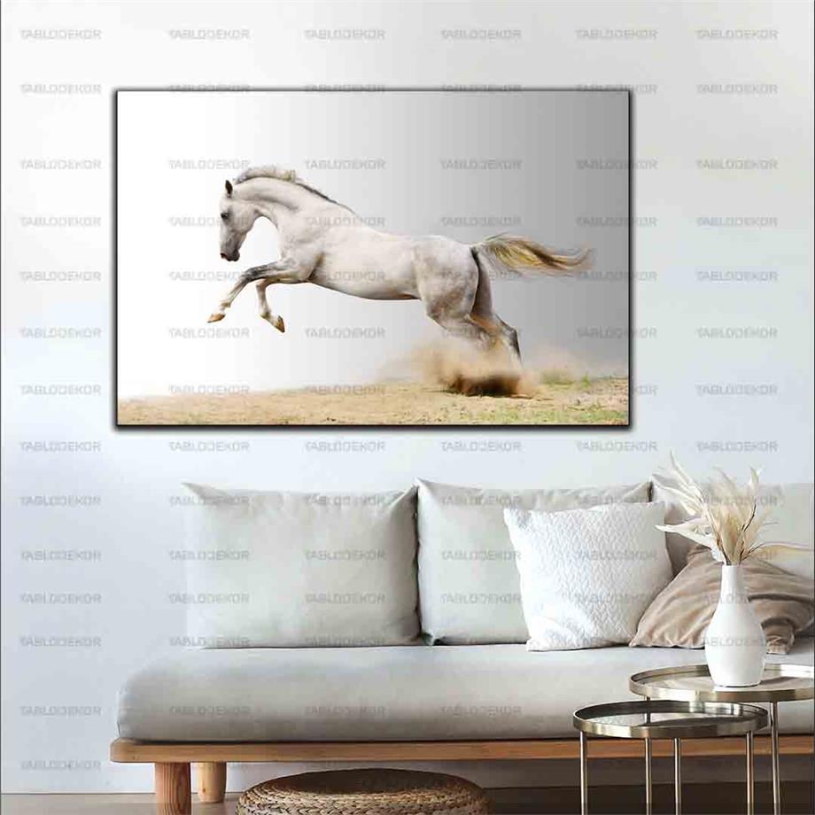 GUMUS BEYAZ AYGIR KANVAS TABLO ürününe, KANVAS TABLOLAR kategorisinden hemen satın alabilirsiniz.