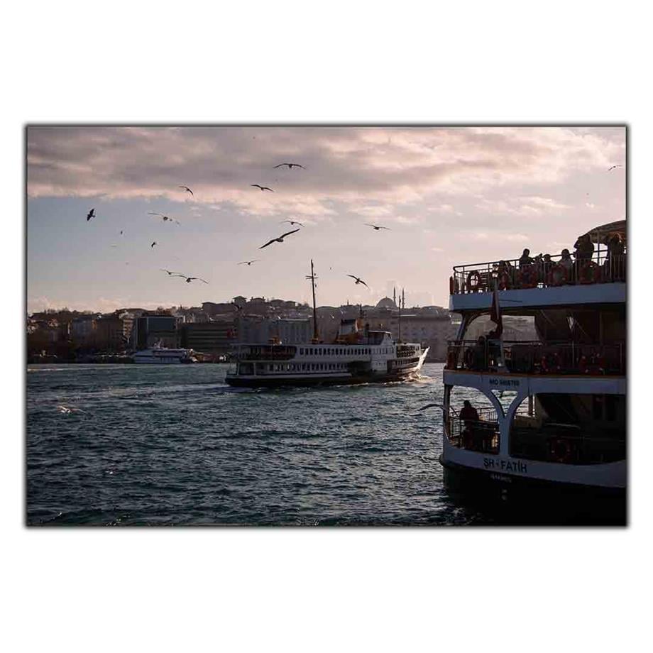 İSTANBUL MANZARASI VE MARTILAR KANVAS TABLO ürününe, KANVAS TABLOLAR kategorisinden hemen satın alabilirsiniz.