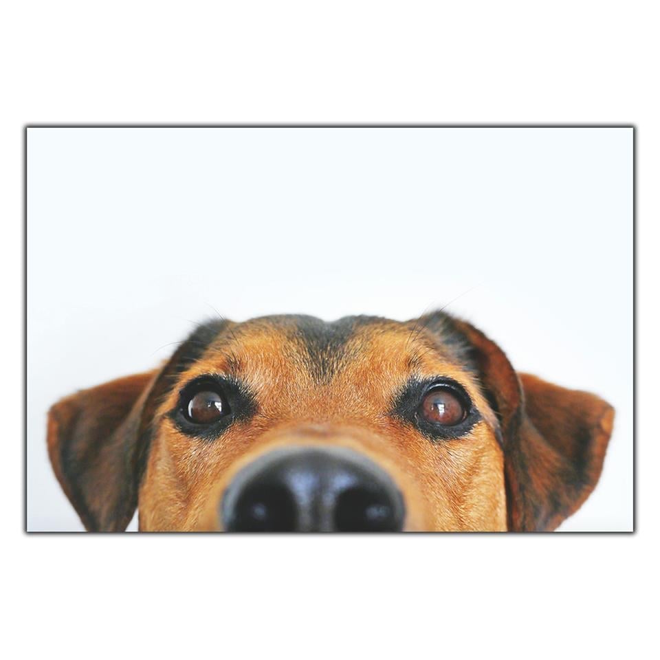 KAHVERENGİ KÖPEK KANVAS  TABLO ürününe, KANVAS TABLOLAR kategorisinden hemen satın alabilirsiniz.