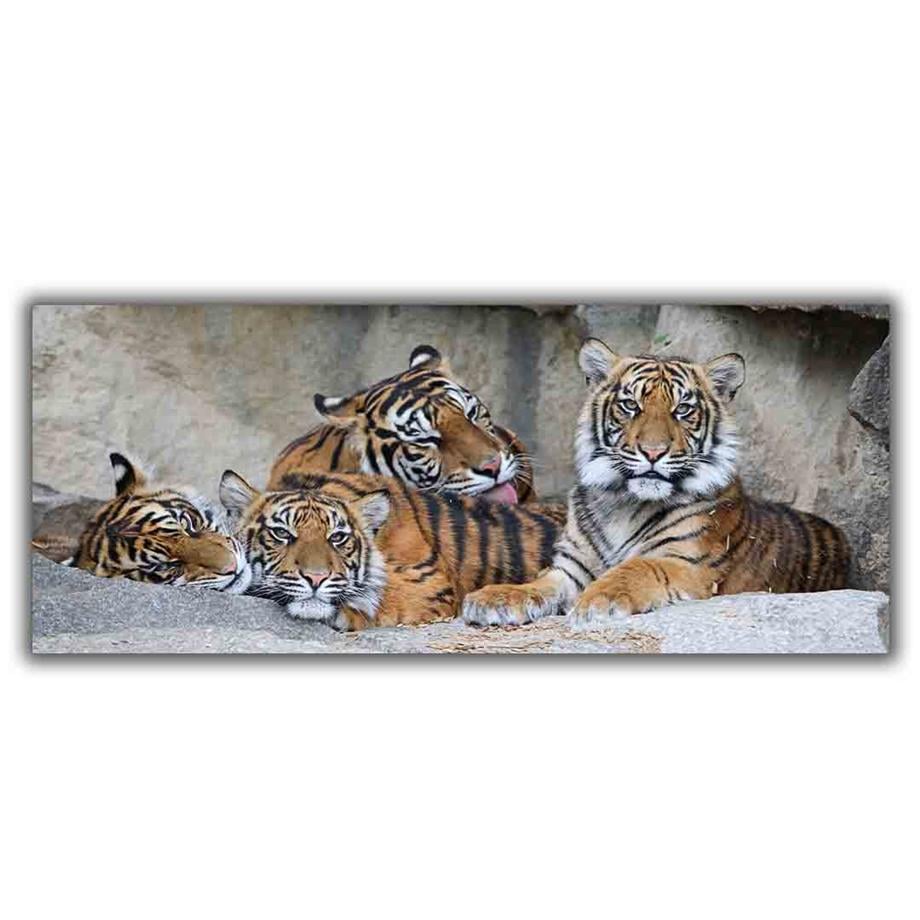 KAPLANGİLLER KANVAS TABLO ürününe, KANVAS TABLOLAR kategorisinden hemen satın alabilirsiniz.