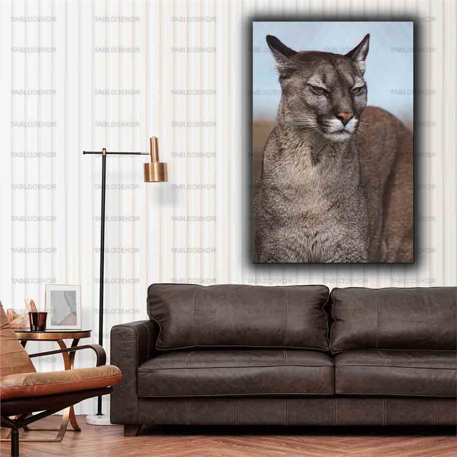 KIZGIN PUMA KANVAS TABLO ürününe, KANVAS TABLOLAR kategorisinden hemen satın alabilirsiniz.