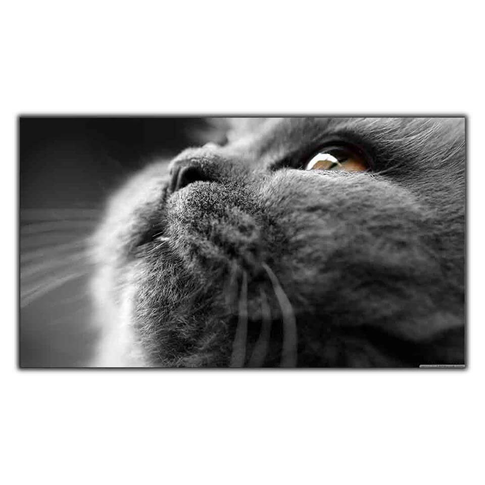 MİNİK BURUNLU KEDİ KANVAS TABLO ürününe, KANVAS TABLOLAR kategorisinden hemen satın alabilirsiniz.