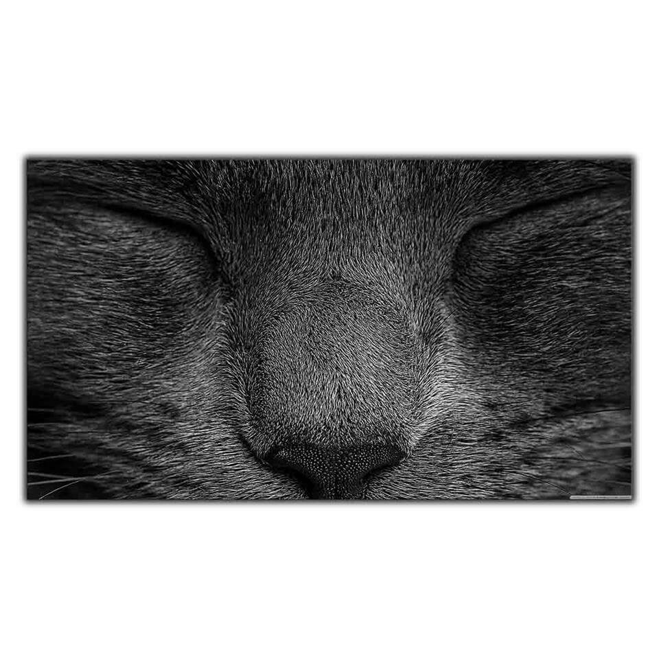 MİNİN KEDİ BURNU KANVAS TABLO ürününe, KANVAS TABLOLAR kategorisinden hemen satın alabilirsiniz.