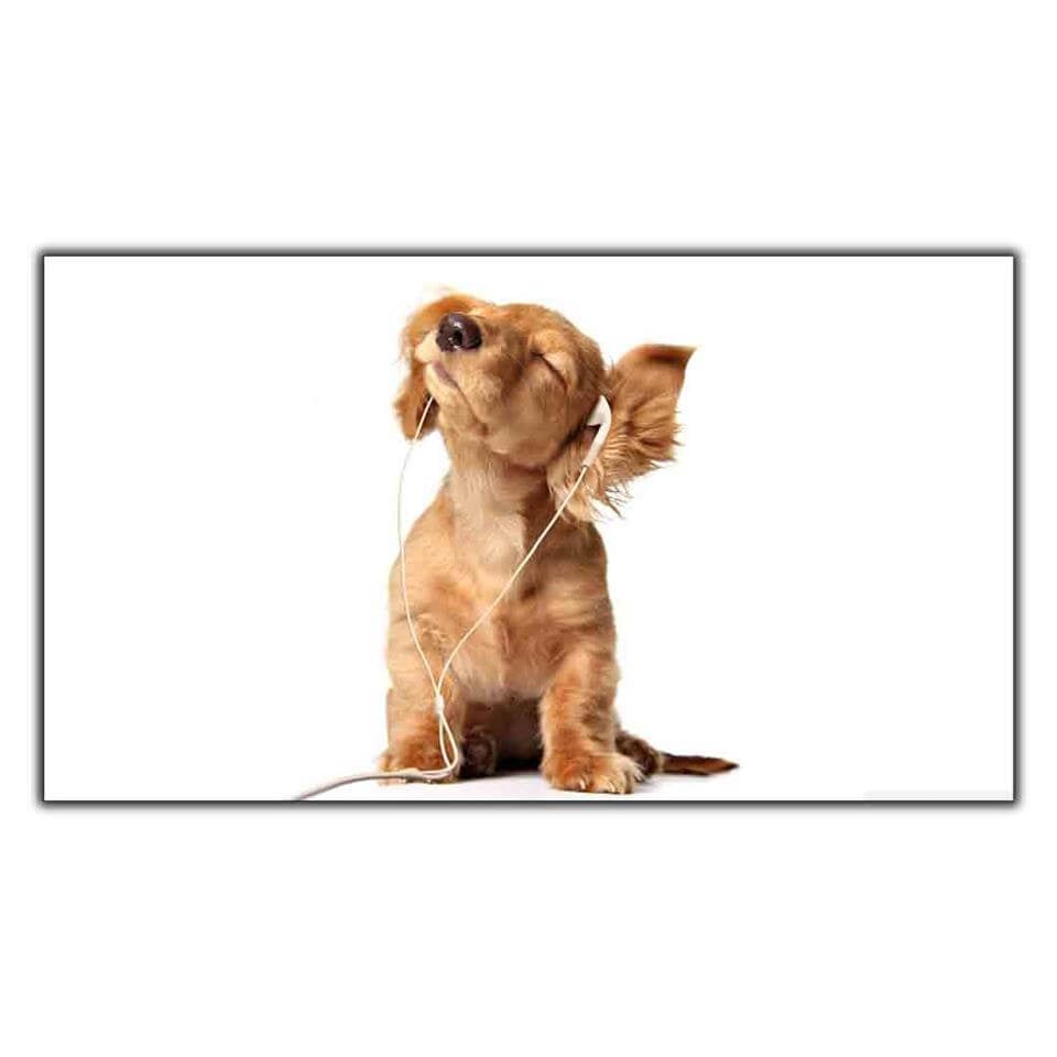 MÜZİK DİNLEYEN YAVRU GOLDEN KÖPEK KANVAS TABLO ürününe, KANVAS TABLOLAR kategorisinden hemen satın alabilirsiniz.