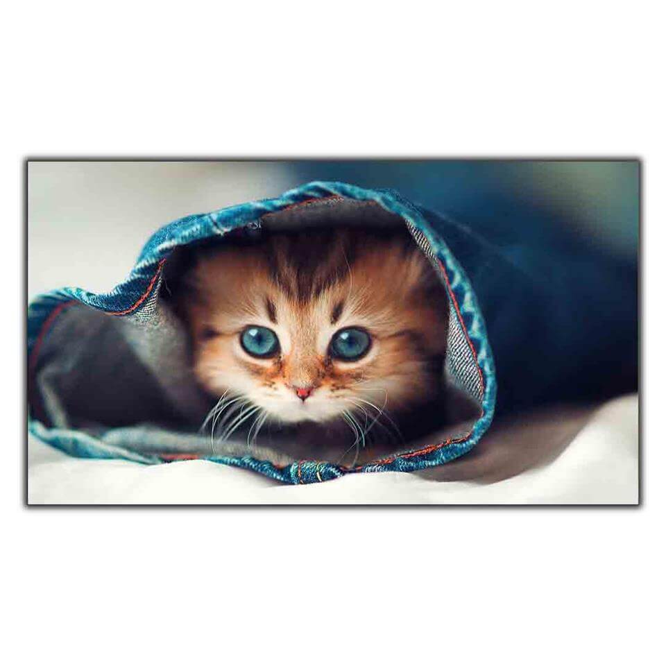 PANTOLONUN İÇİNE SAKLANMIŞ YAVRU KEDİ KANVAS TABLO ürününe, KANVAS TABLOLAR kategorisinden hemen satın alabilirsiniz.