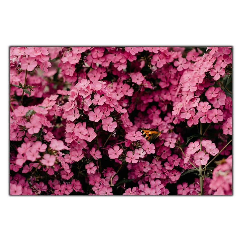 PEMBE KÜÇÜK ÇİÇEKLER KANVAS TABLO ürününe, KANVAS TABLOLAR kategorisinden hemen satın alabilirsiniz.