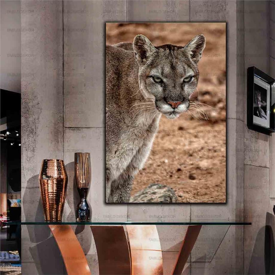 PUMA KANVAS TABLO ürününe, KANVAS TABLOLAR kategorisinden hemen satın alabilirsiniz.