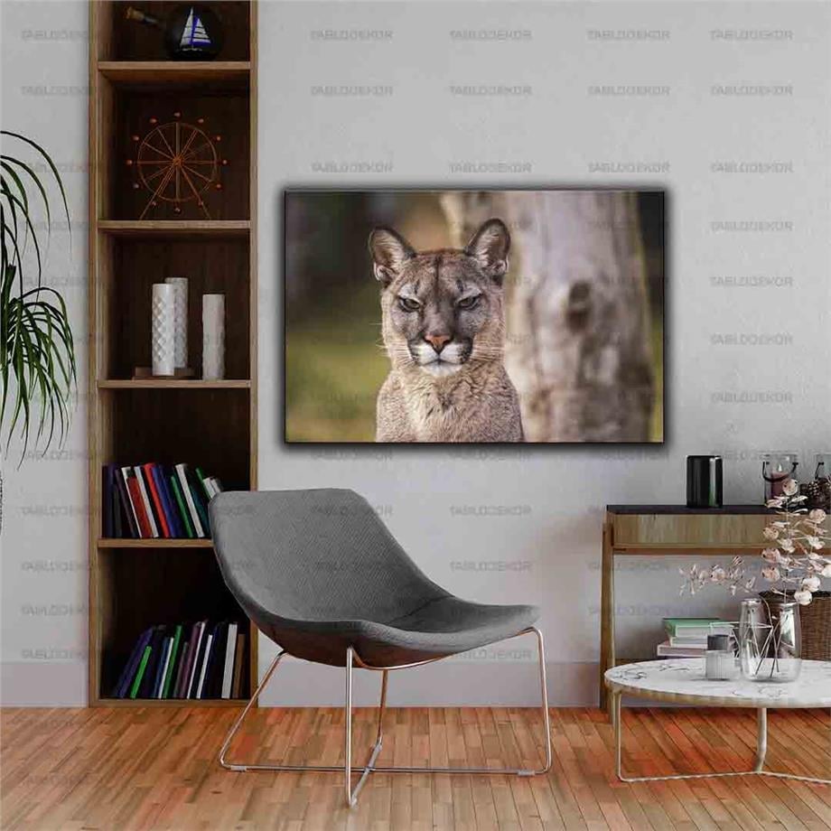 PUMA KANVAS TABLO ürününe, KANVAS TABLOLAR kategorisinden hemen satın alabilirsiniz.