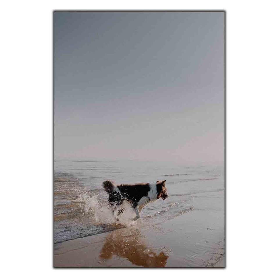 SAHİLDE YÜRÜYEN KÖPEK KANVAS TABLO ürününe, KANVAS TABLOLAR kategorisinden hemen satın alabilirsiniz.
