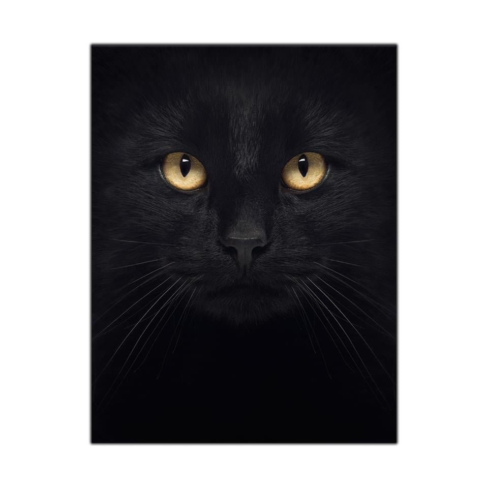SARI GÖZLÜ BOMBAY KEDİ KANVAS TABLO ürününe, KANVAS TABLOLAR kategorisinden hemen satın alabilirsiniz.