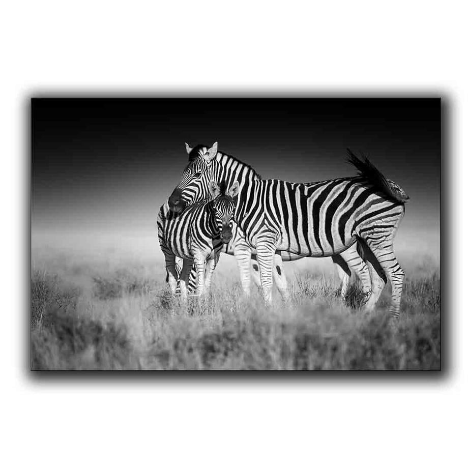 SIYAH BEYAZ ZEBRA KANVAS TABLO ürününe, KANVAS TABLOLAR kategorisinden hemen satın alabilirsiniz.