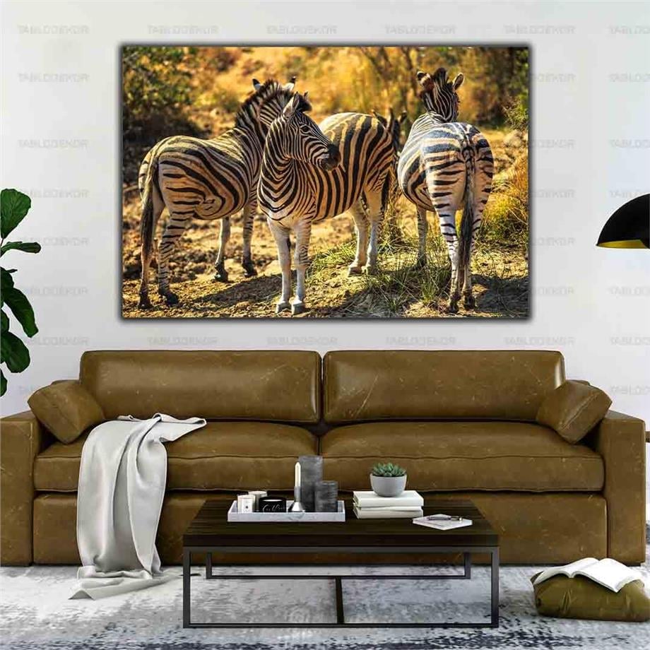 ÜÇ AFRİKA ZEBRASI KANVAS TABLO ürününe, KANVAS TABLOLAR kategorisinden hemen satın alabilirsiniz.