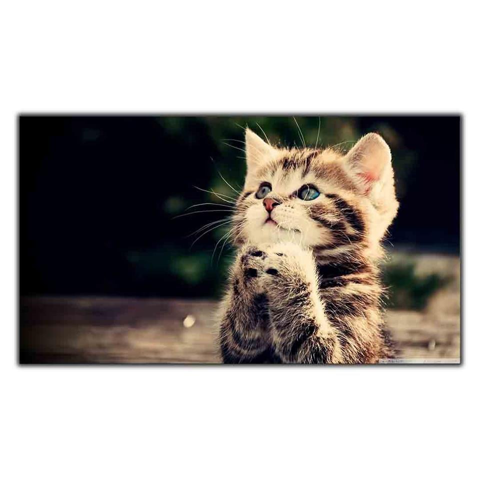 YAVRU TEKİR KEDİ KANVAS TABLO ürününe, KANVAS TABLOLAR kategorisinden hemen satın alabilirsiniz.