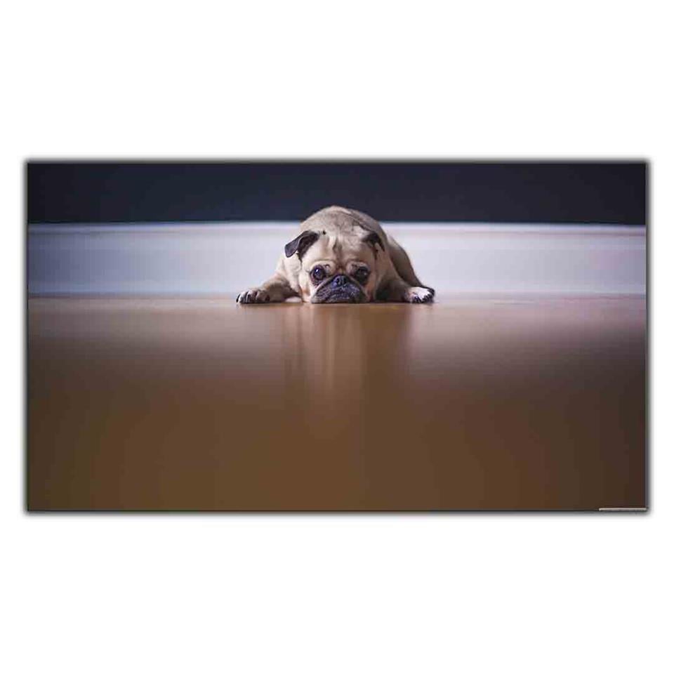 YERDE YATAN PUG KANVAS TABLO ürününe, KANVAS TABLOLAR kategorisinden hemen satın alabilirsiniz.