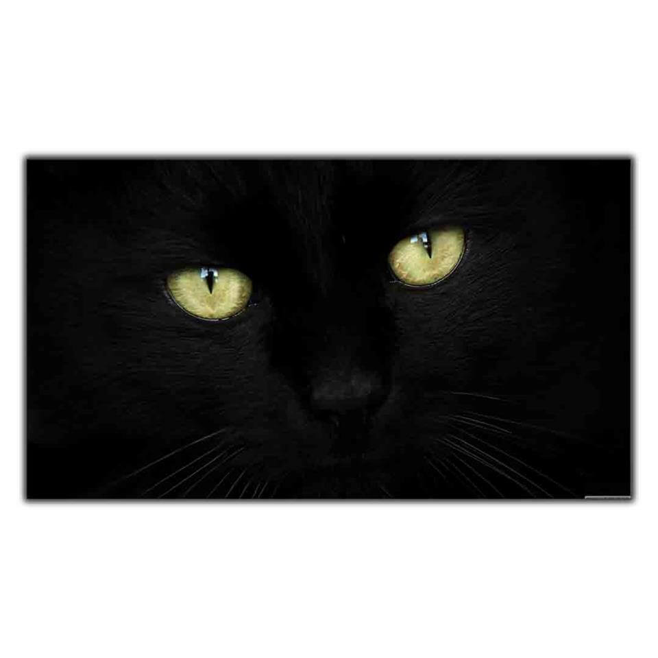 YEŞİL GÖZLÜ BOMBAY KEDİ KANVAS TABLO ürününe, KANVAS TABLOLAR kategorisinden hemen satın alabilirsiniz.