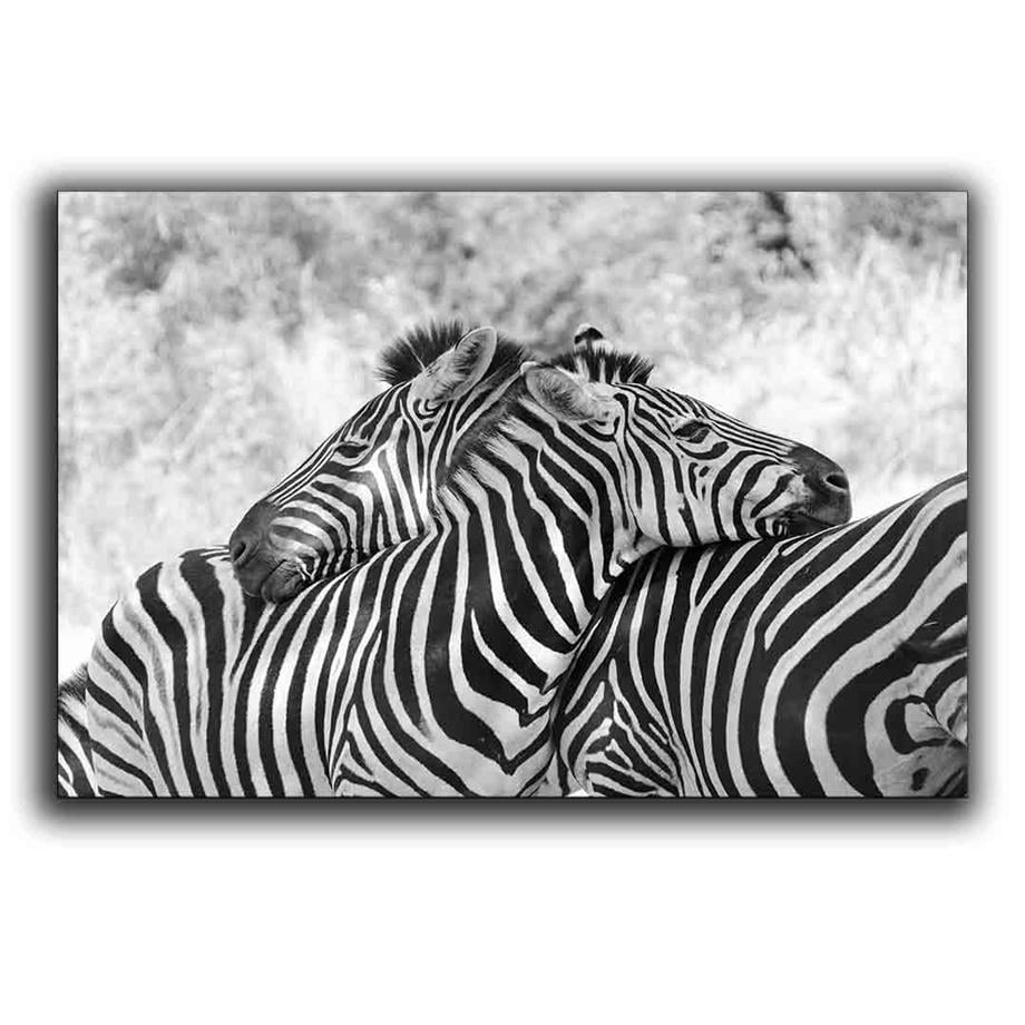 ZEBRA KANVAS TABLO ürününe, KANVAS TABLOLAR kategorisinden hemen satın alabilirsiniz.