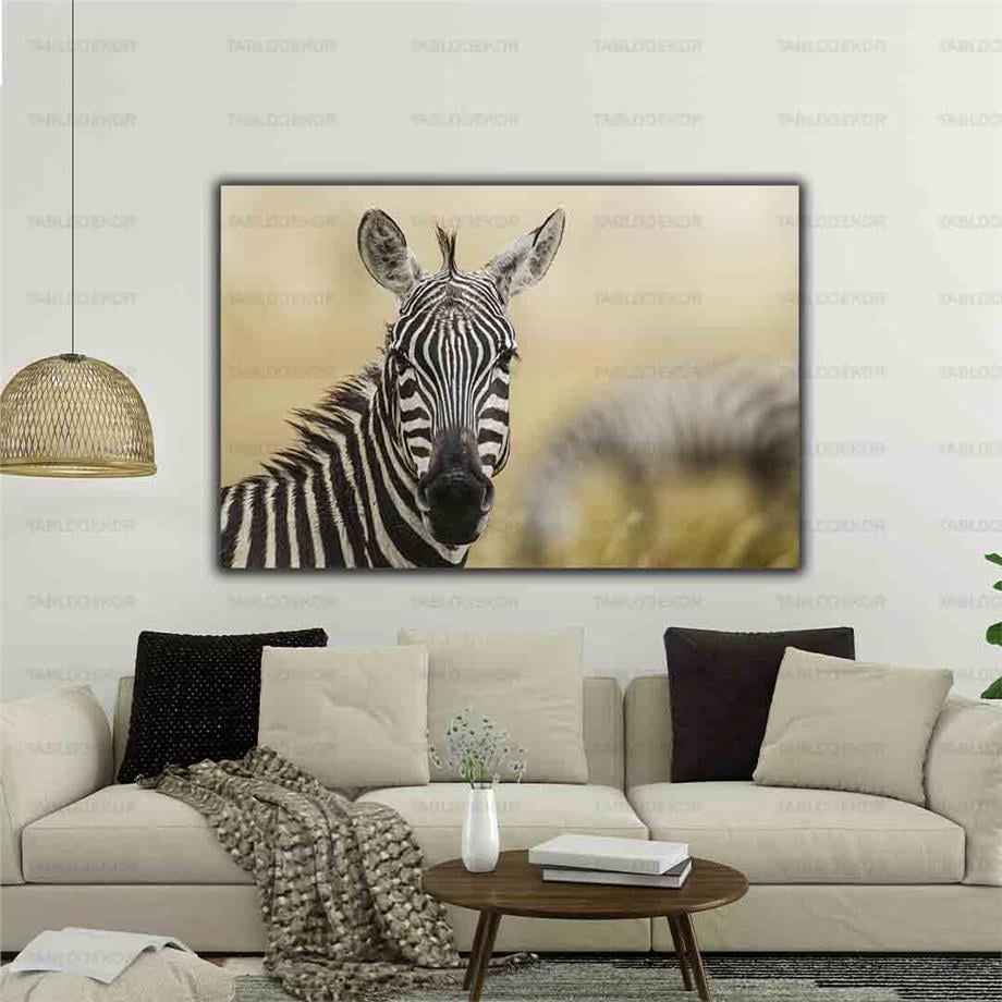 ZEBRA KANVAS TABLO ürününe, KANVAS TABLOLAR kategorisinden hemen satın alabilirsiniz.