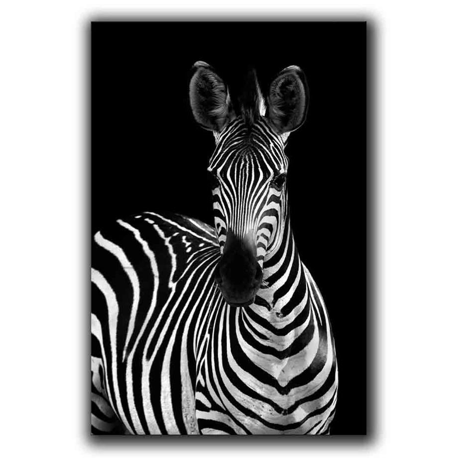 ZEBRA PORTRE KANVAS TABLO ürününe, KANVAS TABLOLAR kategorisinden hemen satın alabilirsiniz.