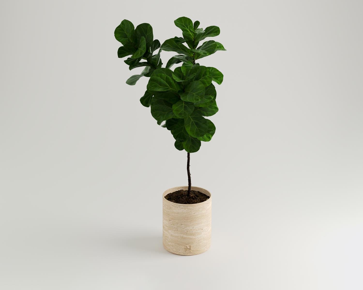 Çiçek ve silindir vazo modelleri