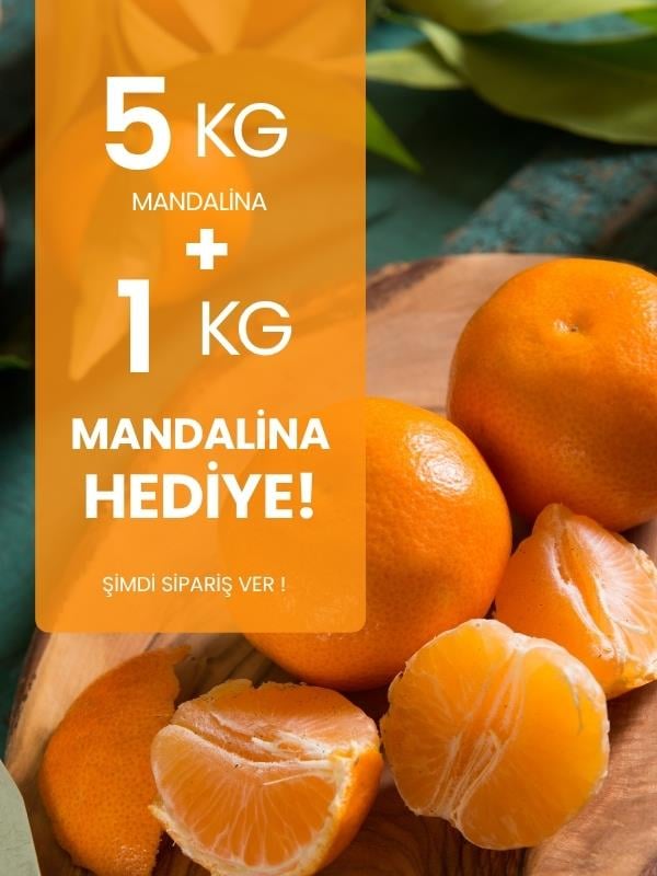  5 kg Mandalina  Alana 1 kg Hediye