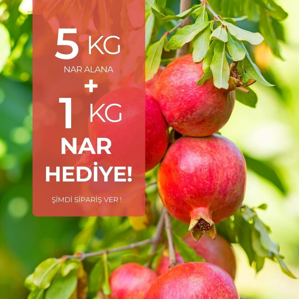  5 kg Nar Alana 1 kg HediyeMeyve Sebze