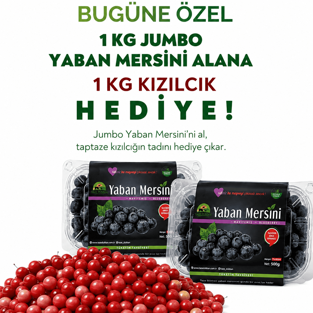 1 kg Jumbo Yaban Mersini Alana 1 kg kızılcık HediyeYaban Mersini ve Orman Meyveleri