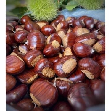 Aydın Dağ Kestanesi (Lüx) 1 kg 