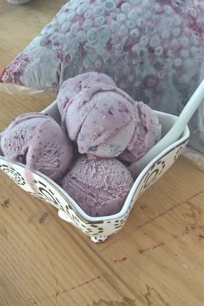 Baldo Yaban Mersinli Dondurma 400 gr (Sadece Bursa ve Yalova İçi Teslim)