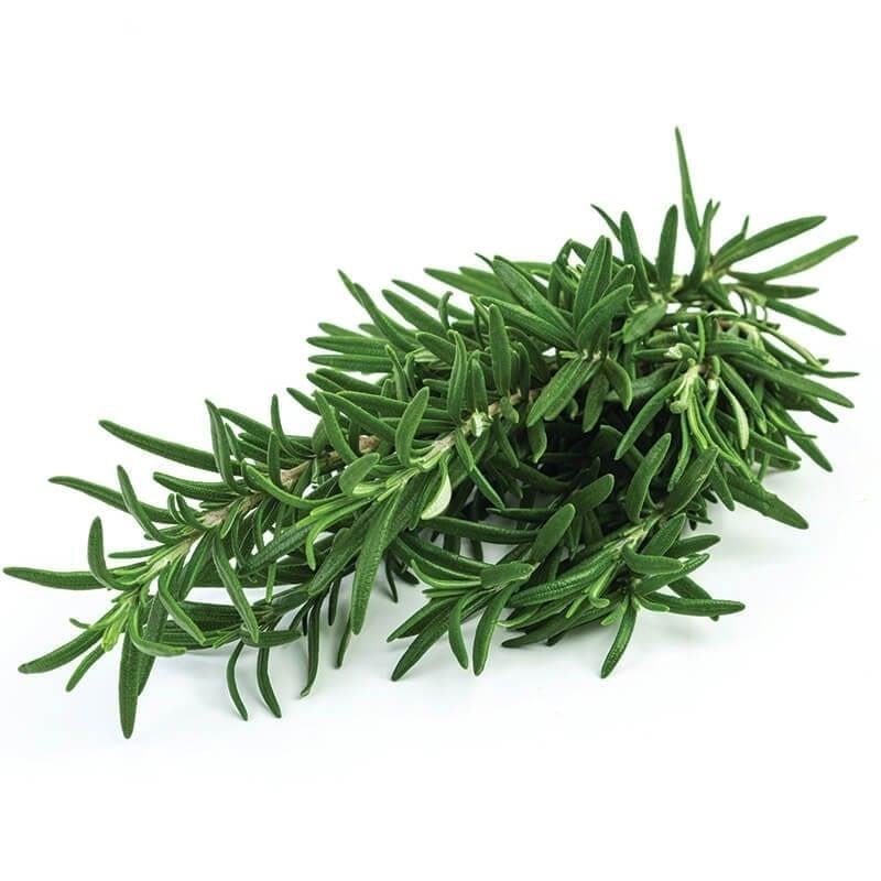 Biberiye 25 g