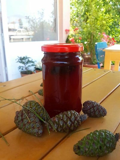 Çam Kozalak Şurubu 660 ml