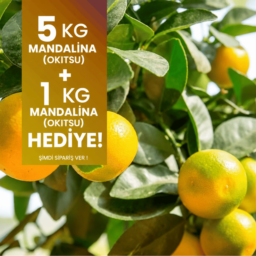Gümüldür Mandalina (Okitsu) 5 kg Alana 1 Kg HediyeMevsim Meyveleri