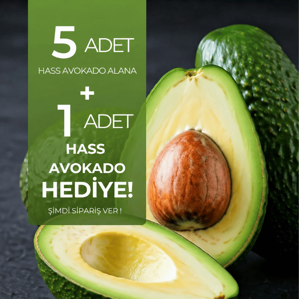Hass Avokado 5 Adet Alana 1 adet HediyeTropik Meyveler