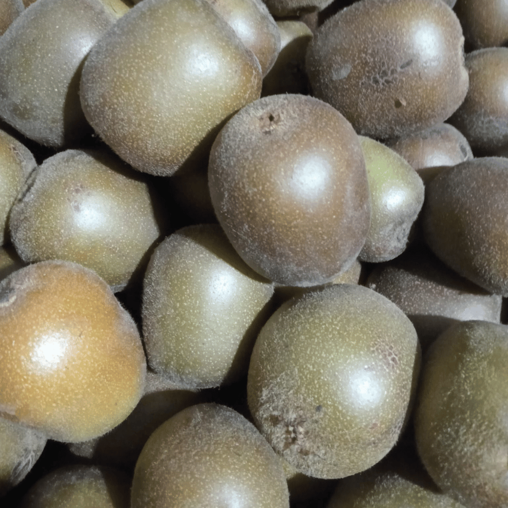 Jumbo Boy Yerli Kivi 1 Kg (Coğrafi İşaretli)Tropik Meyveler