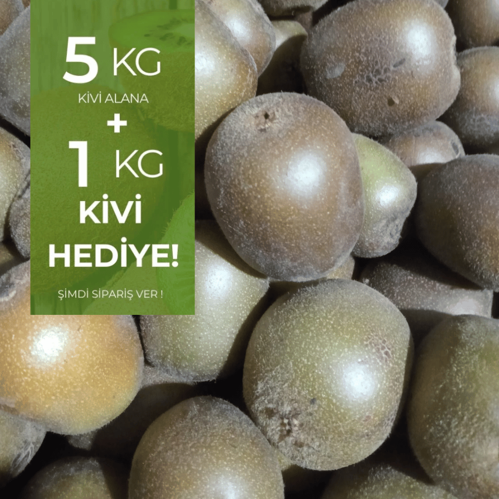 Jumbo Boy Yerli Kivi 5 kg  Alana 1 kg HediyeMeyve Sebze
