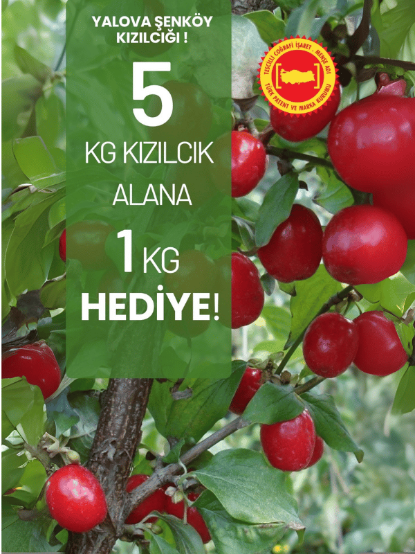 Kızılcık 5 KG Alana 1 KG HEDİYE