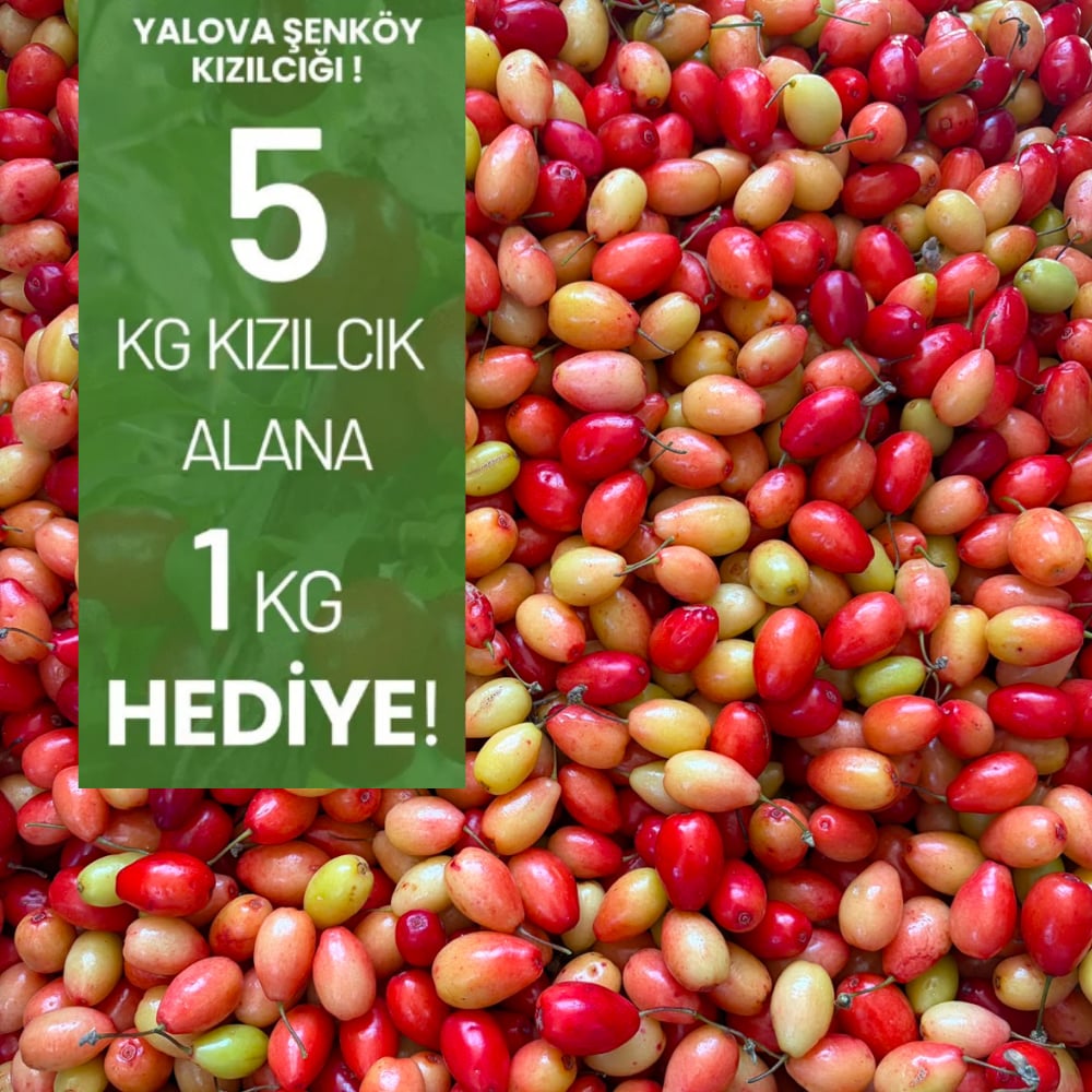 Kızılcık 5 KG Alana 1 KG HEDİYEMeyve Sebze