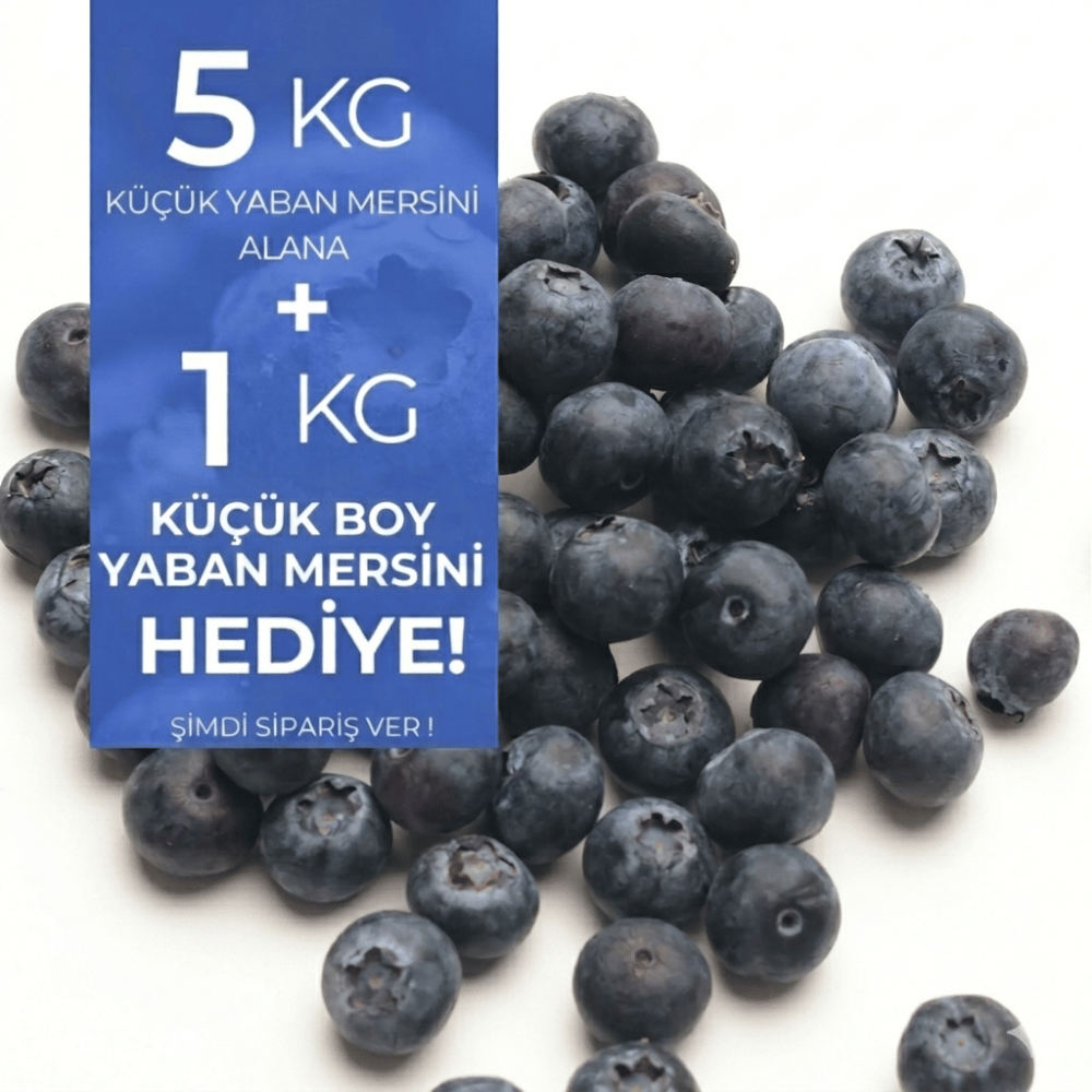 Küçük Boy Yaban Mersini 5 Kg Alana 1 Kg HediyeYaban Mersini ve Orman Meyveleri