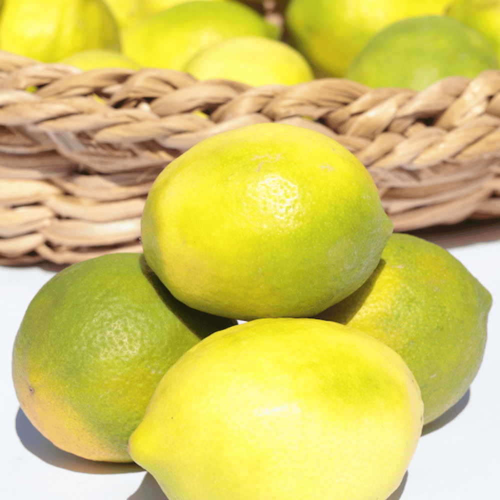 Organik Limon 5 kg Alana 1 kg HediyeMevsim Meyveleri